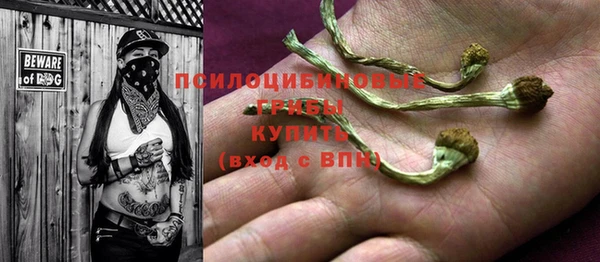ALPHA-PVP Горнозаводск